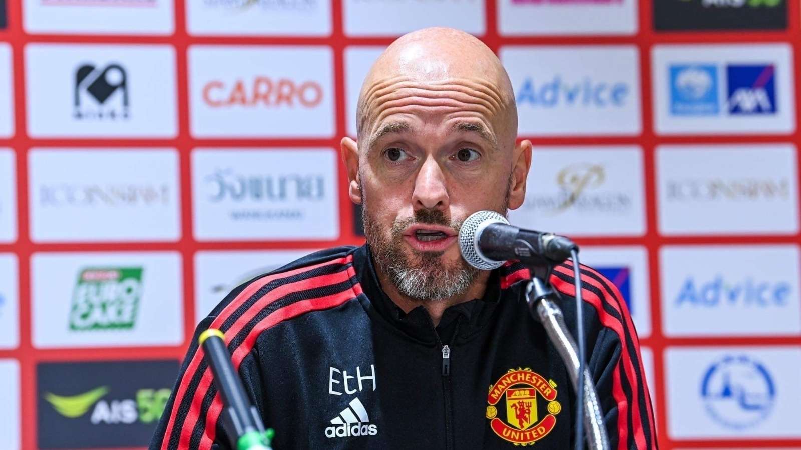 内部因素的 内部因素的