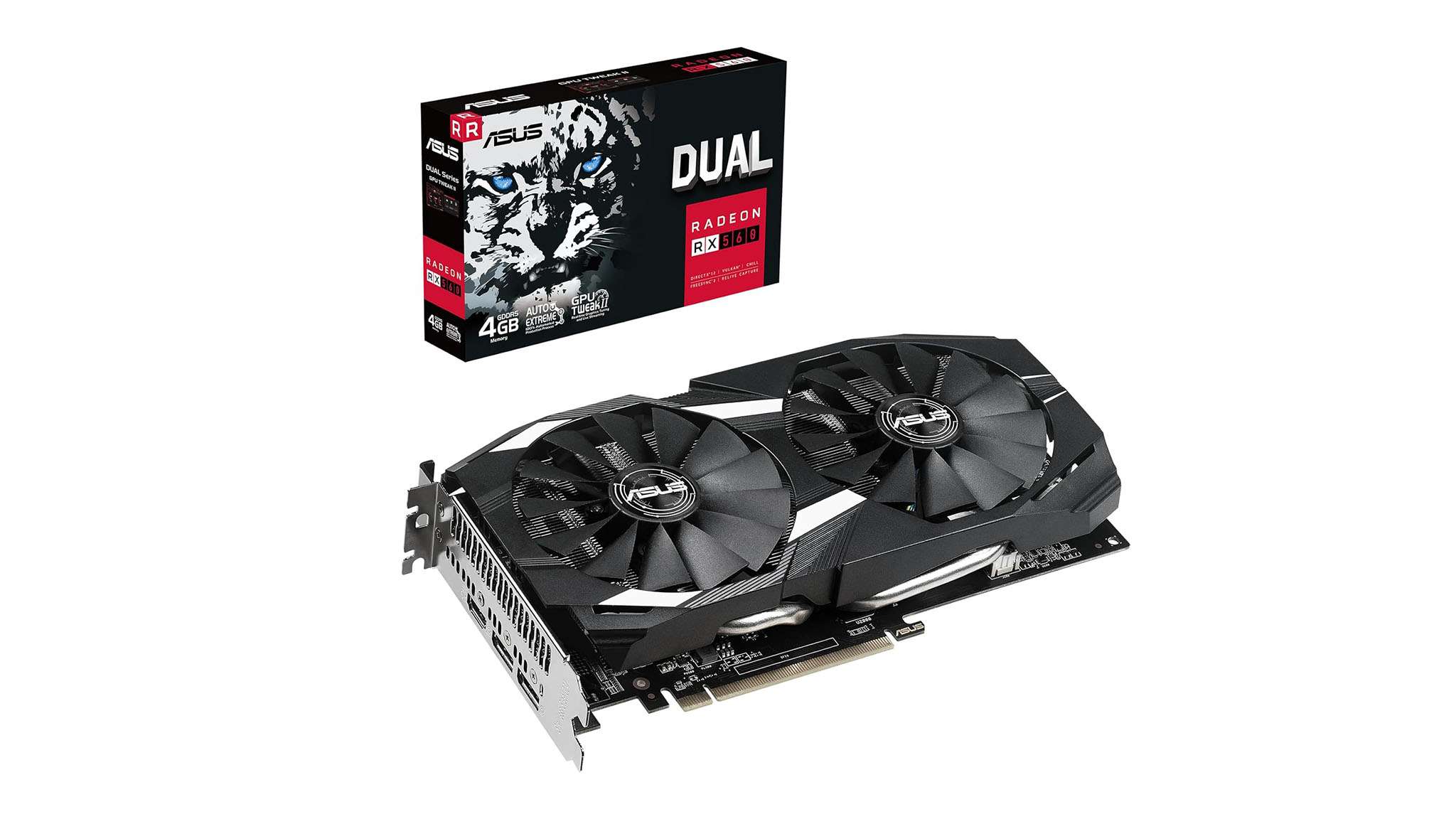 探寻冠军背 探寻冠军背